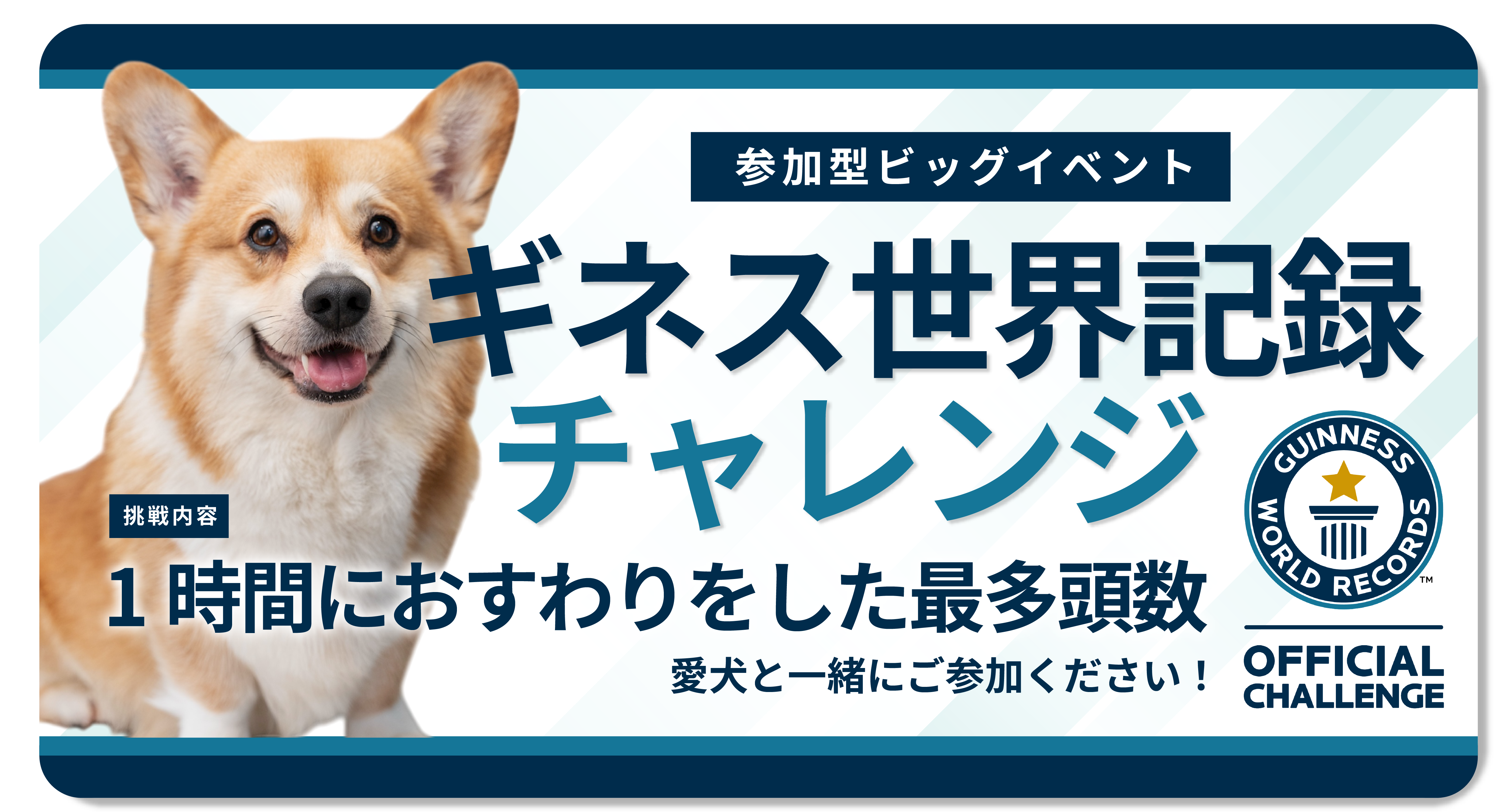 参加型ビッグイベント ギネス世界記録チャレンジ 1時間におすわりをした最多頭数