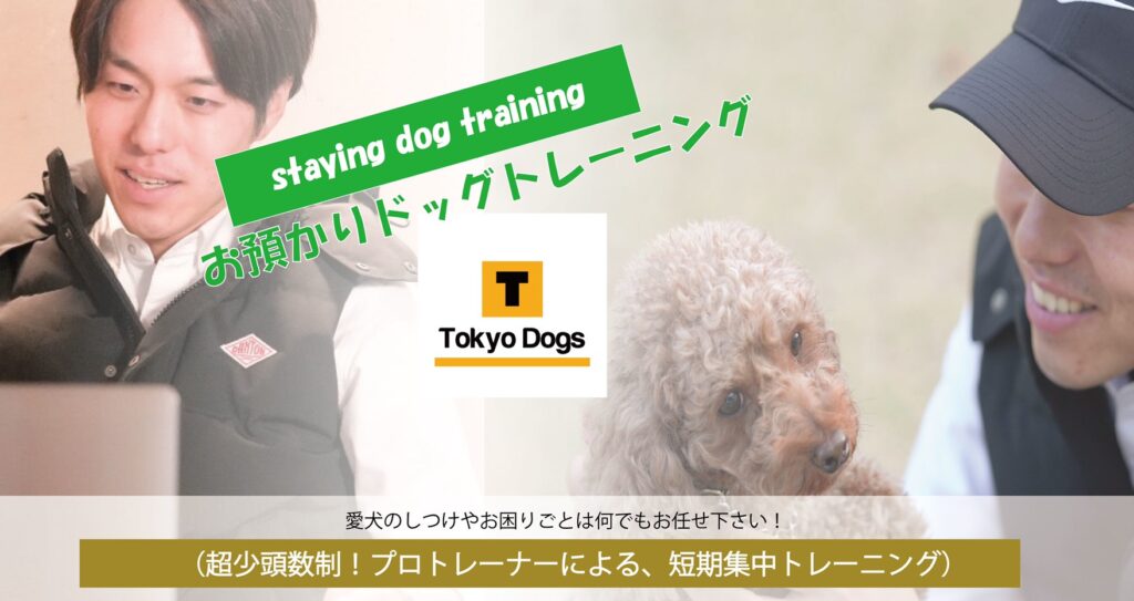 お預かりドッグトレーニング 東京dogs 褒める犬のしつけトレーニング