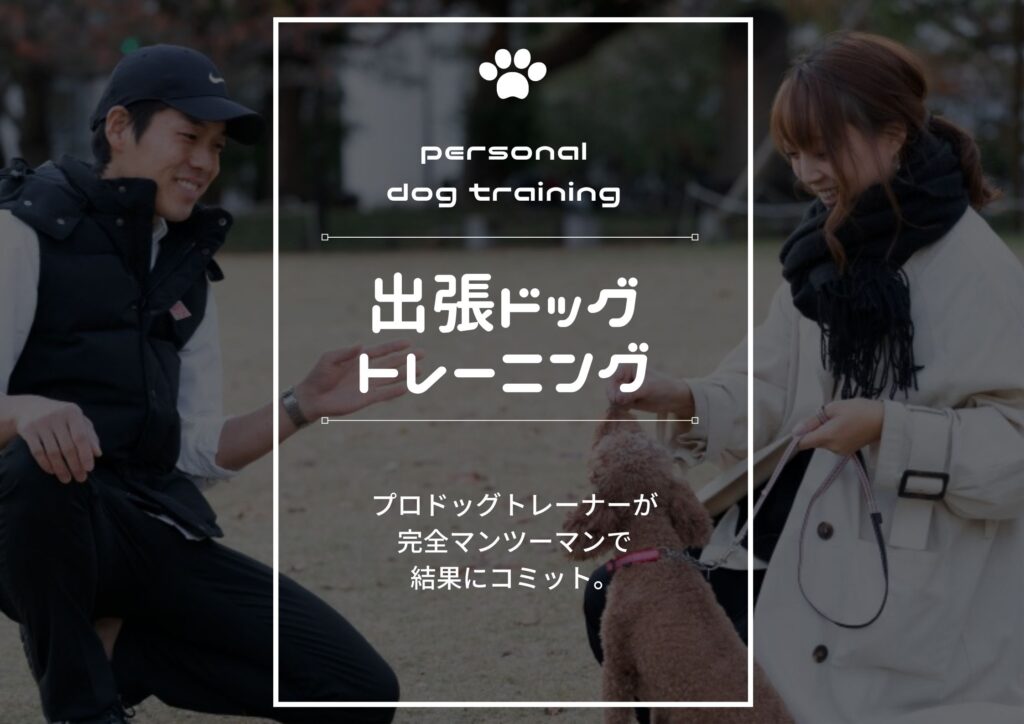 東京DOGS 褒めるしつけトレーニング