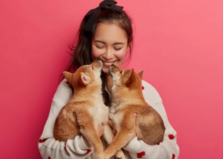 【重要】犬のとびつきのしつけ法！正しい対処で心配のない毎日を！