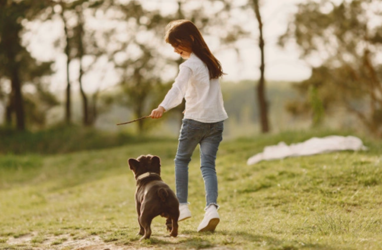 【プロ解説】犬のしつけの「ちょうだい」の教え方を簡単解説！