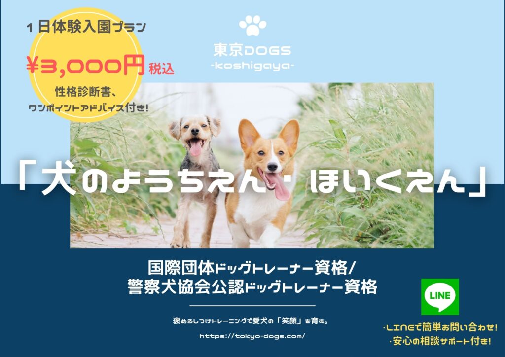埼玉県の犬の幼稚園 犬のしつけ教室 犬のしつけトレーニングなら埼玉県越谷市にある 東京dogs 越谷 におまかせ