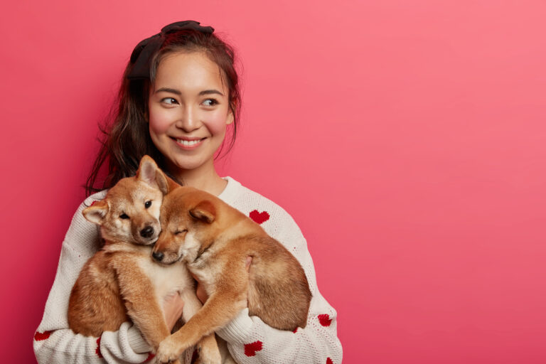 犬の甘噛みには意外な原因が？予防のための環境づくりとしつけの方法！