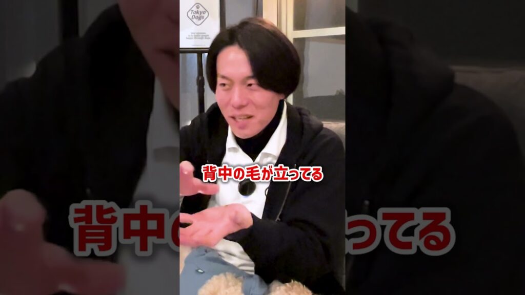 要求吠えと警戒吠えの違い｜東京DOGS公式動画のサムネイル