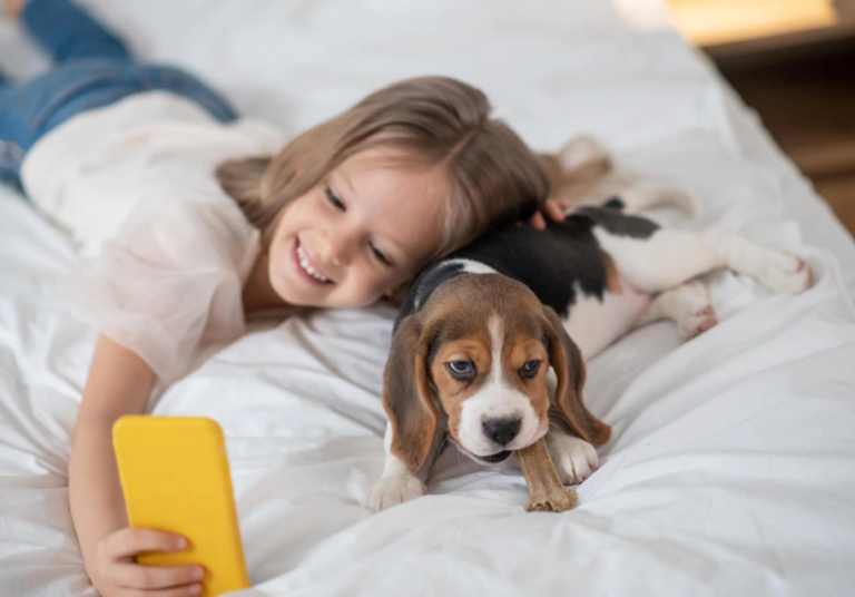 誰でもできる！「音」を使った犬の訓練３つのメリット！