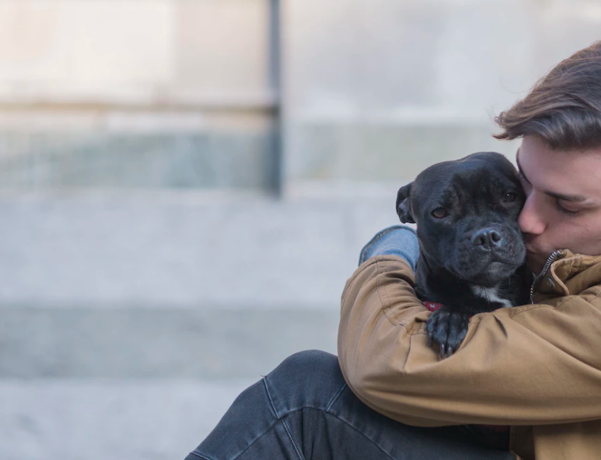 知らなとヤバイ 犬が寝る時のクレート活用術 必要性と教え方のポイントを解説 東京dogs 褒める犬のしつけトレーニング