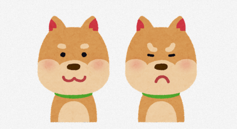 これだけは知って 犬に体罰について 愛犬への影響と仲直りのコツを伝授 東京dogs 褒める犬のしつけトレーニング