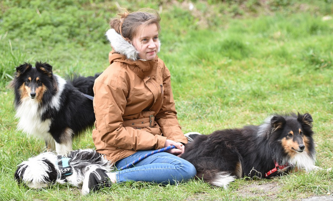 これだけは知って 犬に体罰について 愛犬への影響と仲直りのコツを伝授 東京dogs 褒める犬のしつけトレーニング