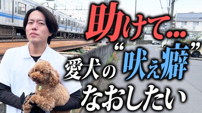 犬が吠える原因と対処の考え方｜警察犬ドッグトレーナーが解説