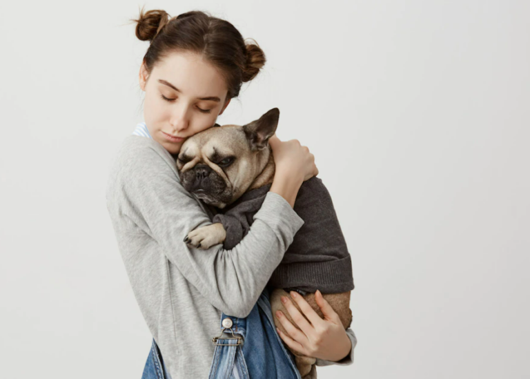 老犬は後ろ足が弱っている？後ろ足を鍛えるトレーニング法まとめ！