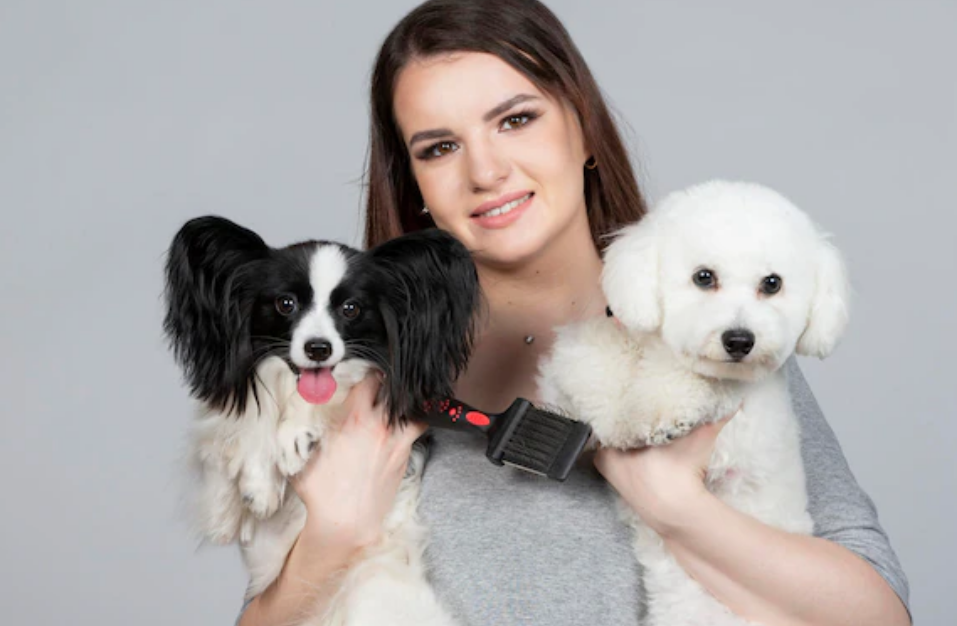 犬が唸るのは以外なアレが原因 唸る時のしつけと有効な対処法 東京dogs 褒める犬のしつけトレーニング