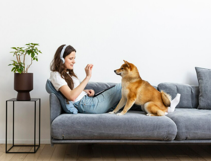 犬が唸るのは以外なアレが原因 唸る時のしつけと有効な対処法 東京dogs 褒める犬のしつけトレーニング