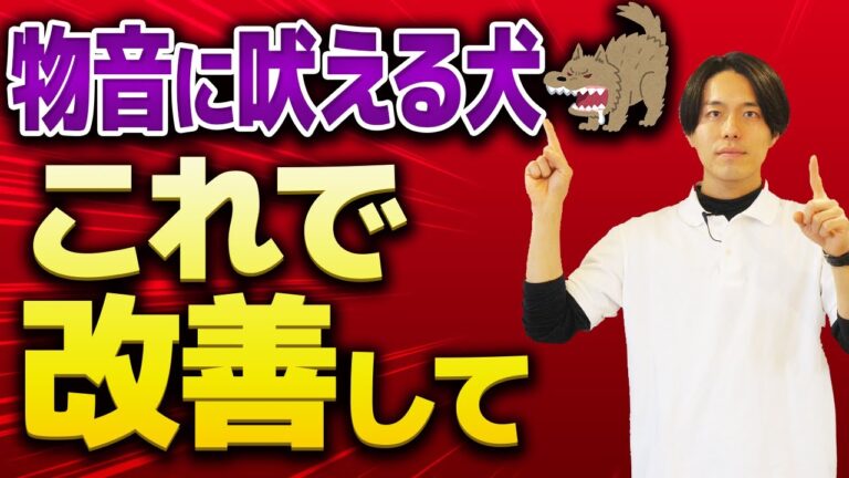 犬が物音に吠える理由と対処法｜警察犬ドッグトレーナーが解説