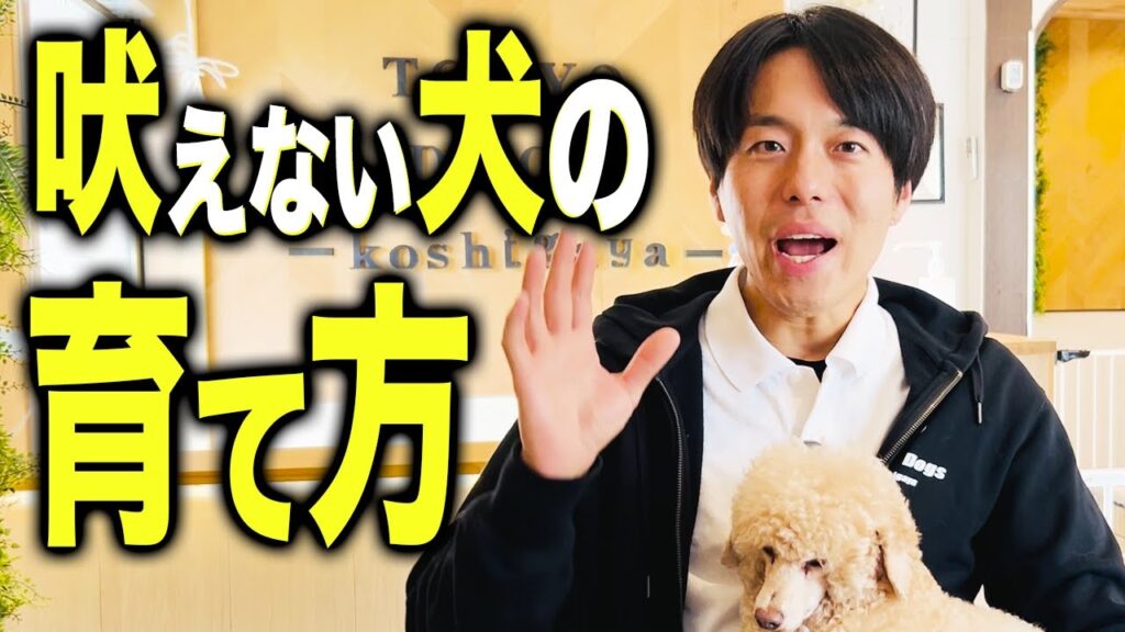 犬の吠えと環境づくり｜東京DOGS公式動画のサムネイル