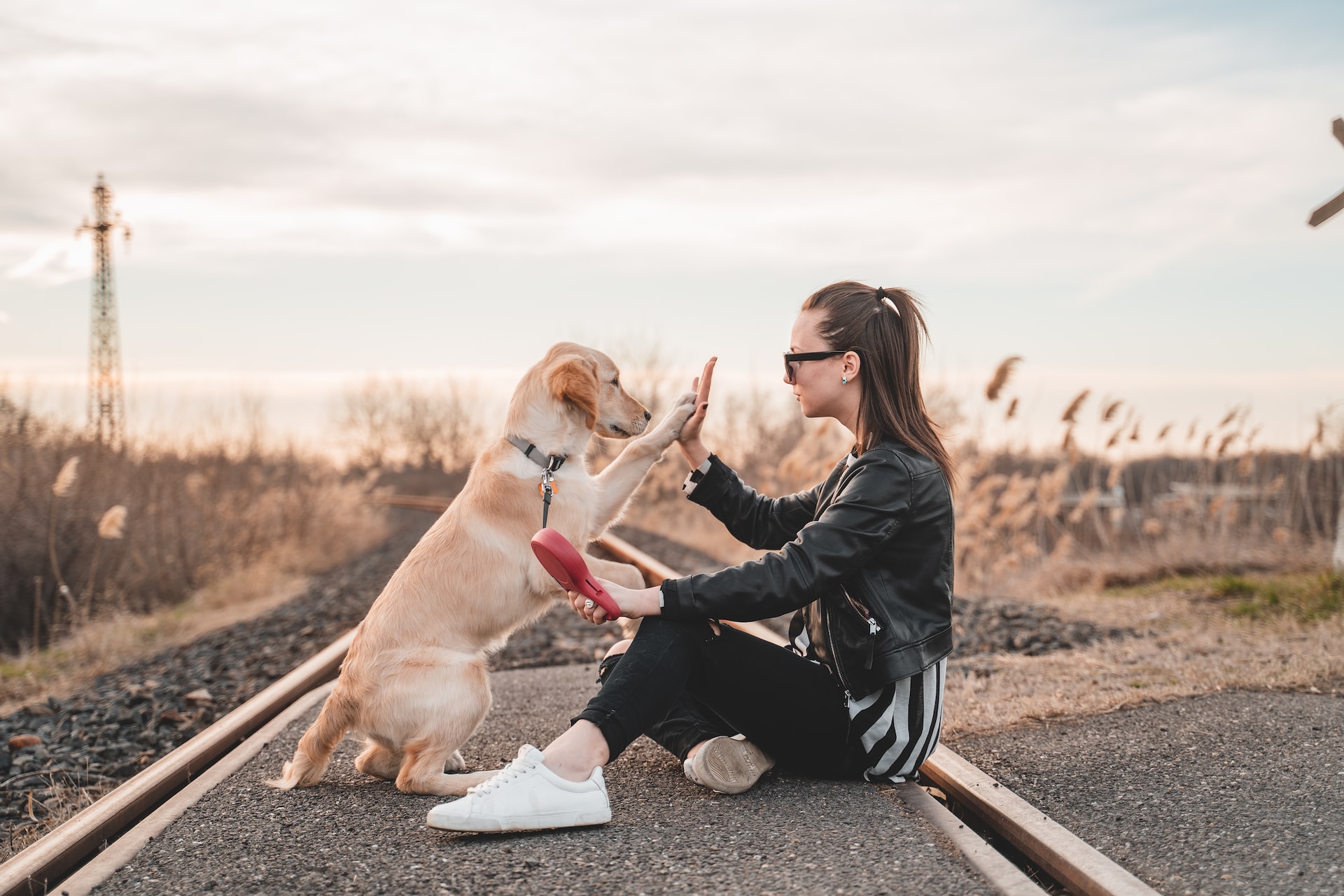 【保存版】愛犬の要求吠えの簡単しつけ法！プロが教える有効な対処法としつけのポイント総集編