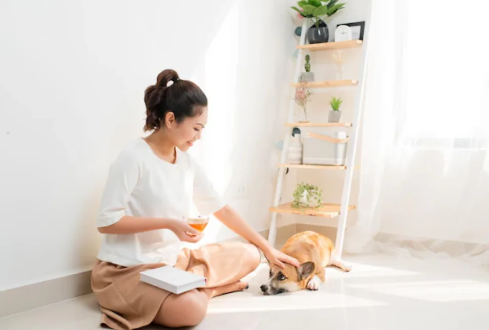 90% Don't Know: Pro Dog Trainer's Tips for Rehoming - News Directory 3