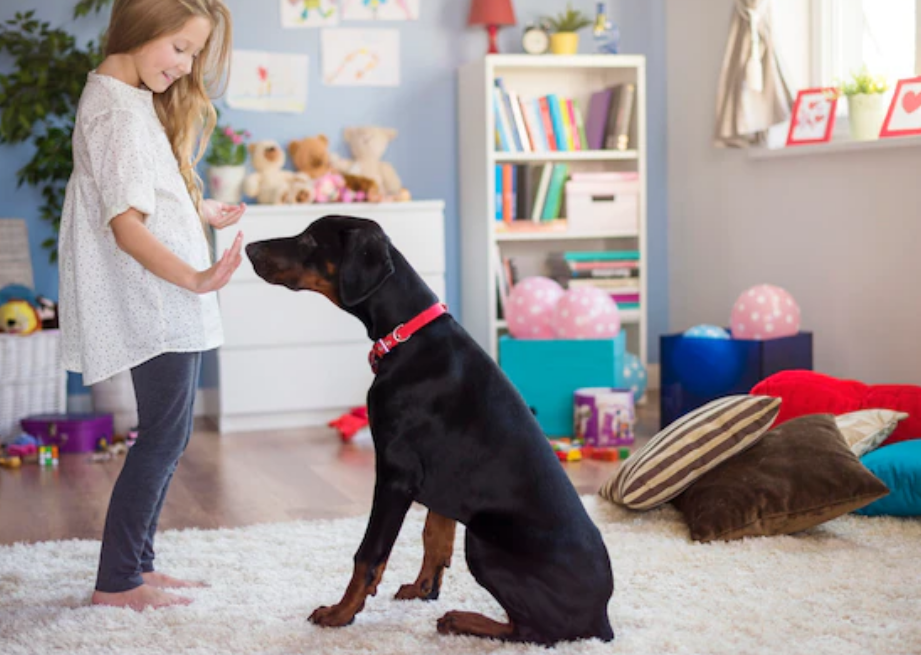 プロ解説】犬の育て方はココが大切！正しい基本を知って愛犬の成長を 