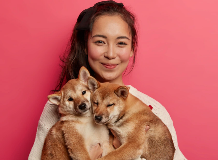 東京DOGS 褒めるしつけトレーニング