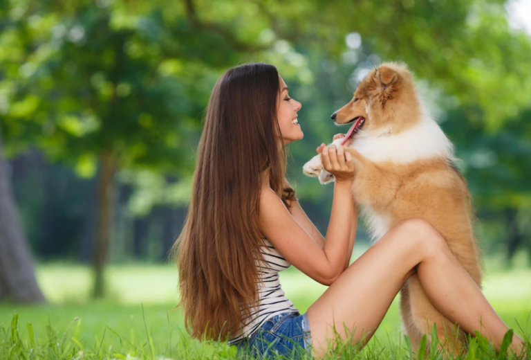 プロが教える犬のオヤツの正しい使い方実践編！【プロドッグトレーナー解説】