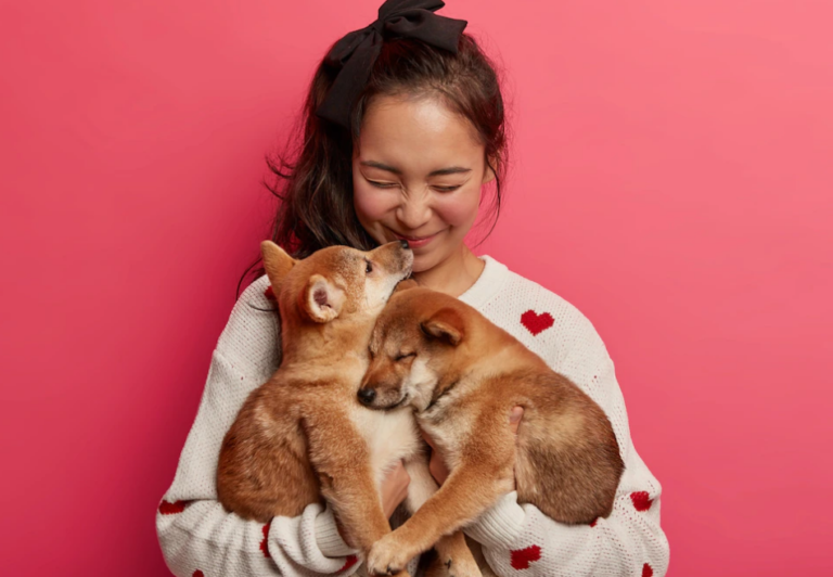 東京DOGS　褒める犬のしつけトレーニング