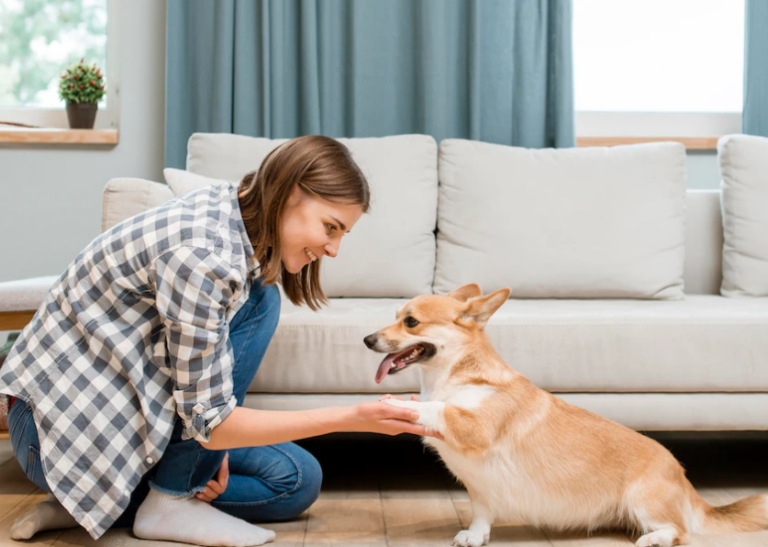【重要】犬との引っ張りっこ遊びの正しいやり方と注意点をプロドッグトレーナーが解説！