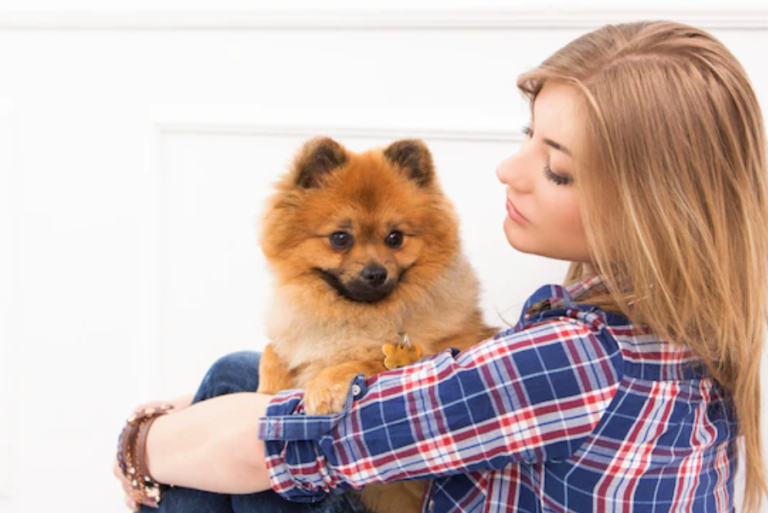 東京DOGS 褒める犬のしつけトレーニング