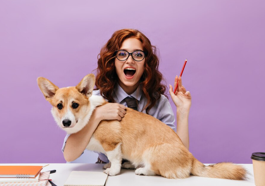 【プロ解説】犬のしつけ教室はいつから通う？知っておくべきポイント5選と最適なタイミングをカンタン解説！