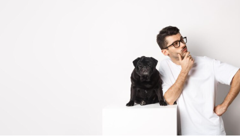 【重要】犬のしつけ教室は何歳まで入れる？通う期間や内容を解説！