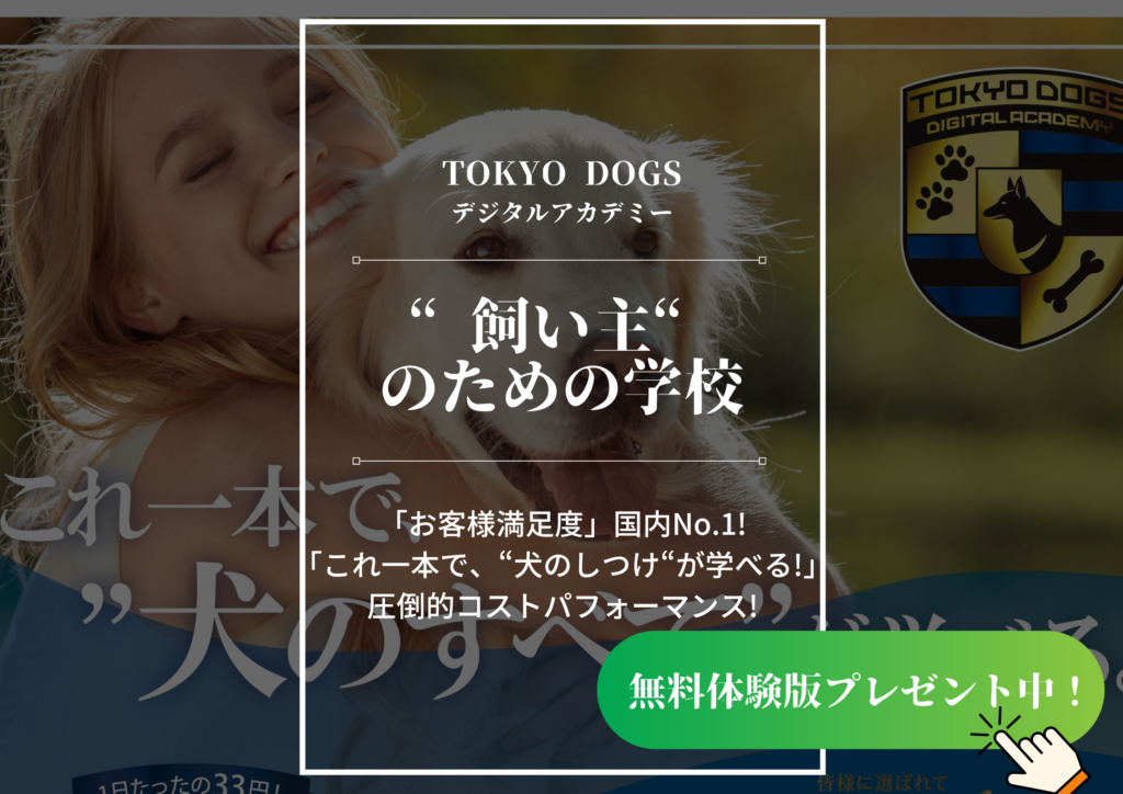 東京DOGS 褒める犬のしつけトレーニング