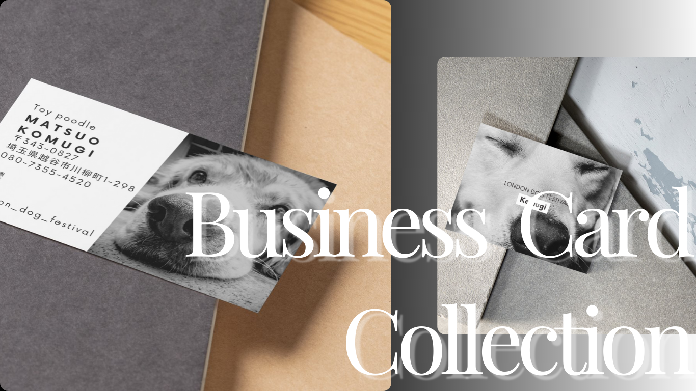 Business Card Collection