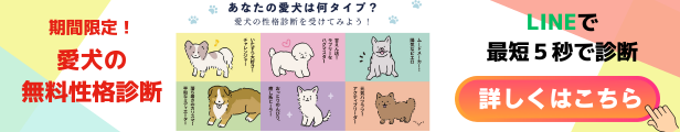 期間限定！愛犬の無料性格診断