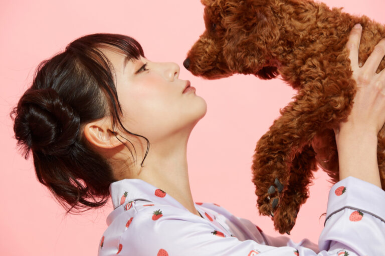 東京DOGS 褒める犬のしつけトレーニング
