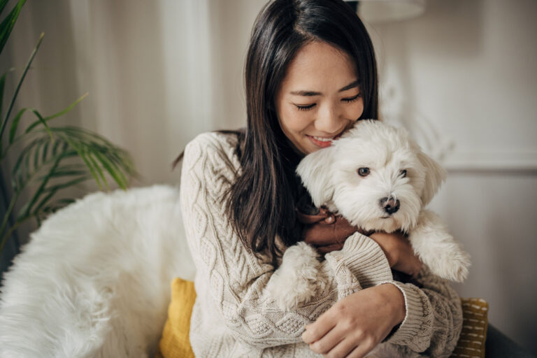 東京DOGS 褒める犬のしつけトレーニング