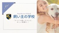 飼い主の学校