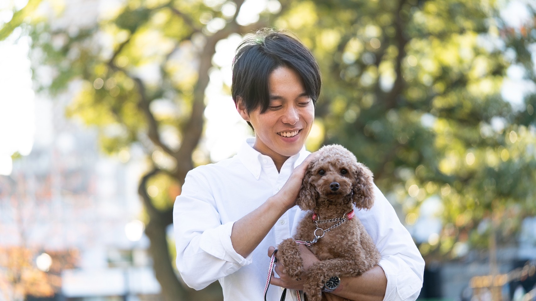 監修者プロフィール写真