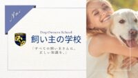 飼い主の学校