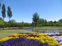 彩の森入間公園