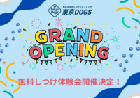 【無料しつけ特別体験会】オープニングセレモニー開催！(in東京)