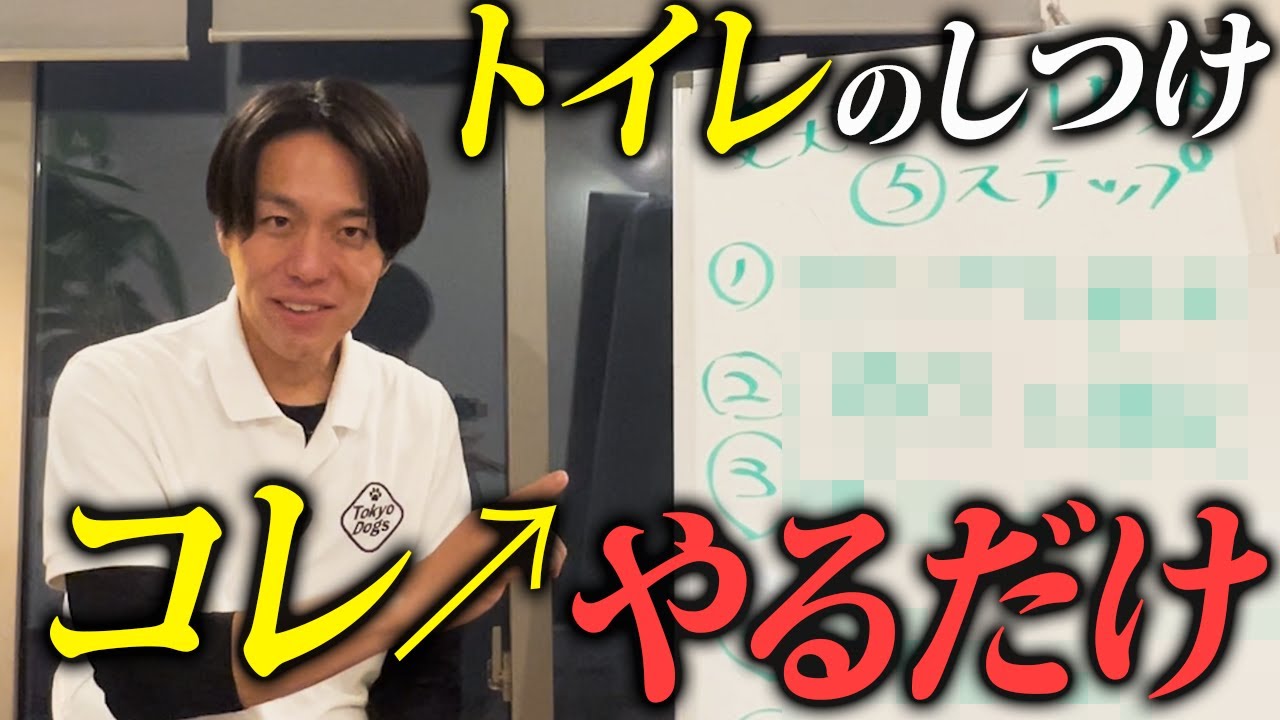 ホワイトボードを使って犬のトイレの教え方を解説する松尾邑仁