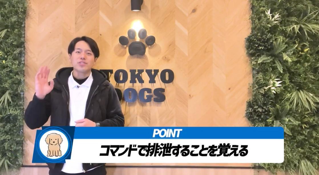 松尾邑仁による成犬のトイレ解説。画面に「コマンドで排泄することを覚える」と表示