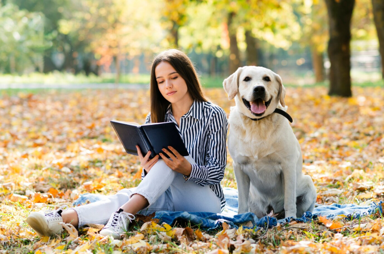 愛犬とのお散歩中に絶対やってほしいこと【ランキングBEST6】警察犬トレーナーがポイントや注意点を解説！
