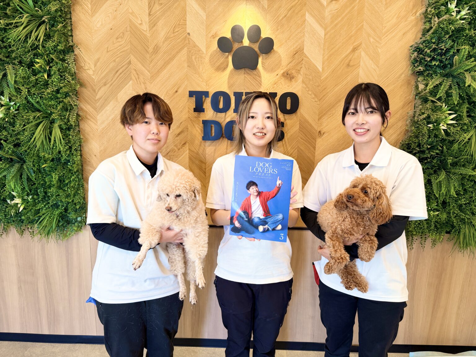 東京DOGSのドッグトレーナー3名とトイプードル（店内）