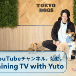 海外向けYouTubeチャンネル「Dog Training TV with Yuto」開設を案内する東京DOGSのトレーナーと犬たち