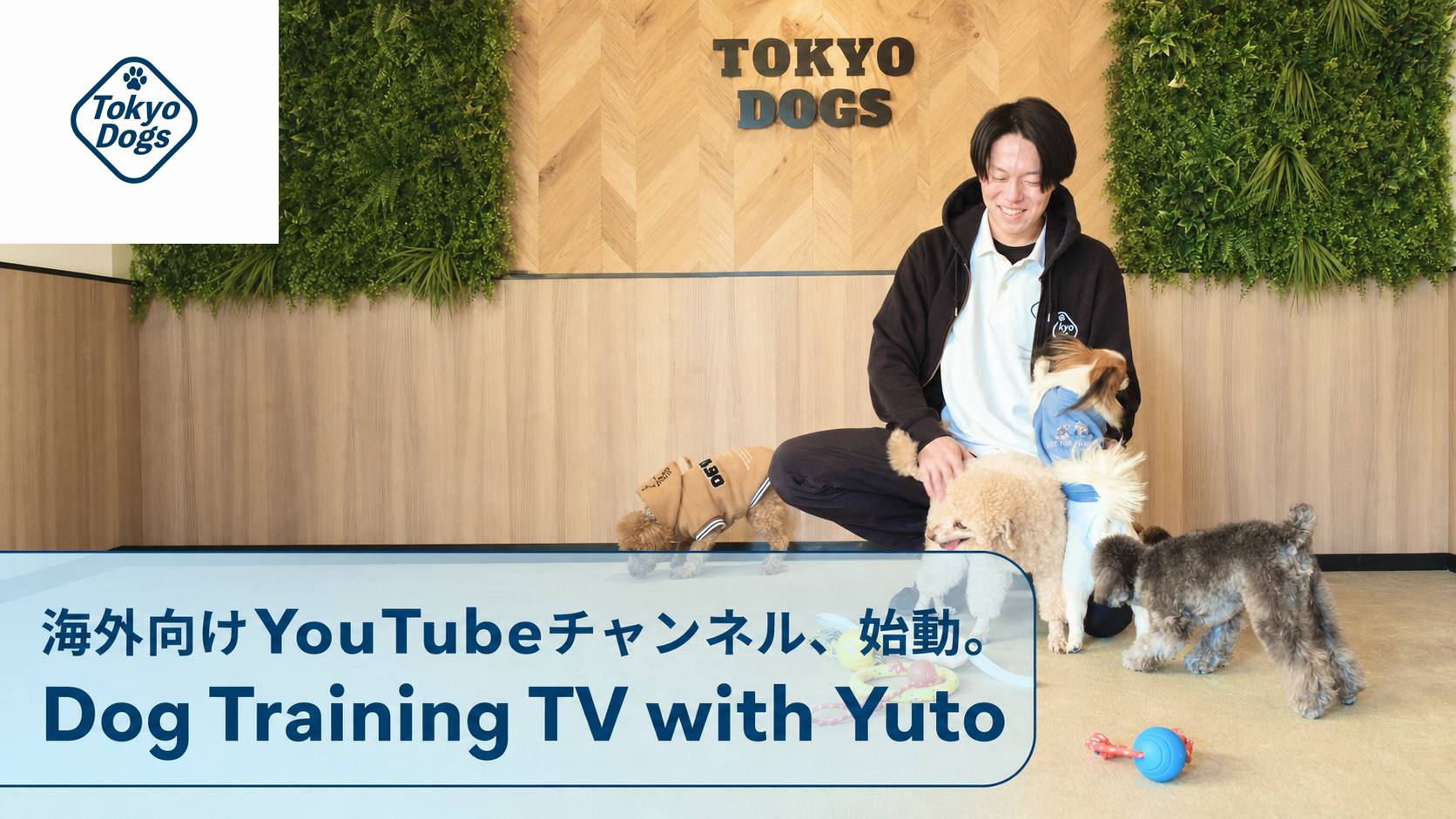 海外向けYouTubeチャンネル「Dog Training TV with Yuto」開設を案内する東京DOGSのトレーナーと犬たち