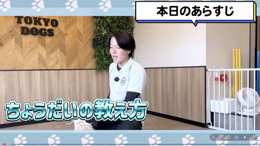 犬へちょうだいを教える流れを説明する松尾トレーナー