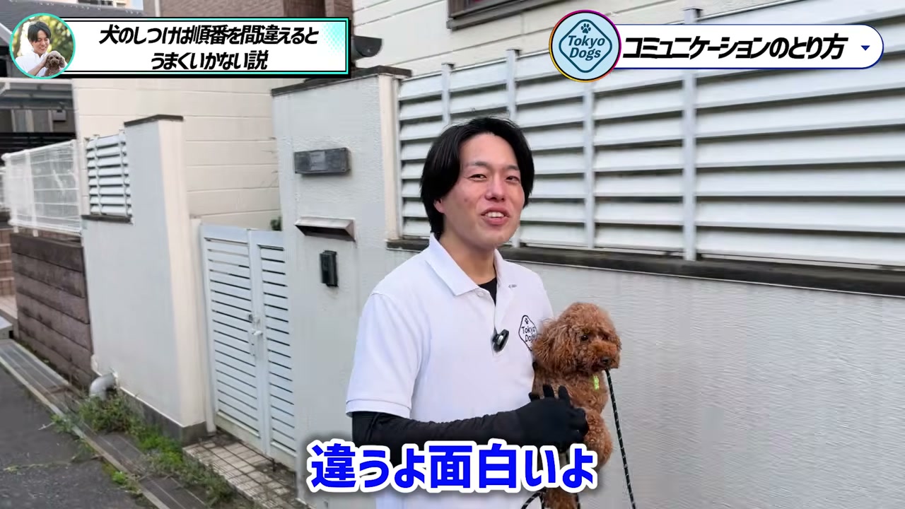 トイプードルを抱き、犬との違いを楽しむ考え方を話す松尾邑仁