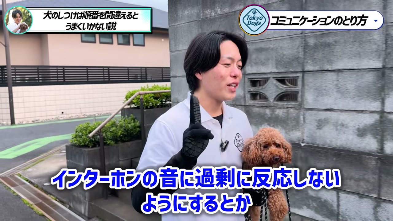 トイプードルを抱き、インターホンへ過剰反応させない工夫を話す松尾邑仁