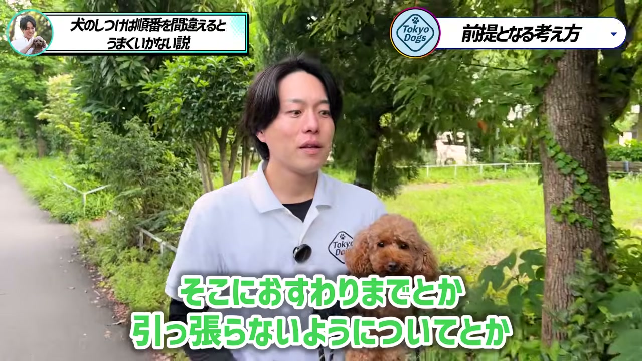 トイプードルを抱き、おすわりや引っ張り対策を話す松尾邑仁