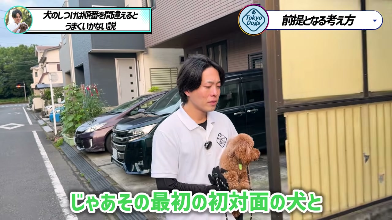 トイプードルを抱き、初対面の犬との接し方について話す松尾邑仁