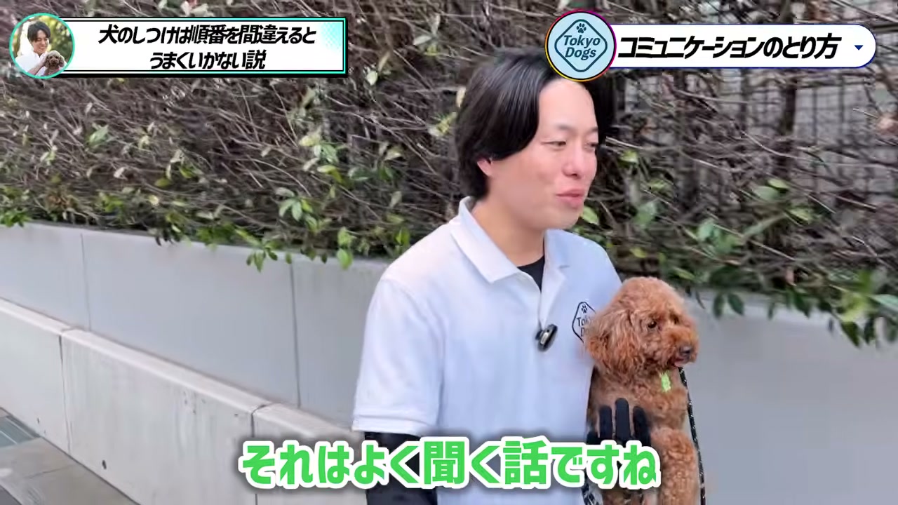 トイプードルを抱き、よくある質問へ答える松尾邑仁